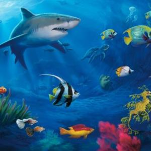 Animales acuaticos y terrestres 