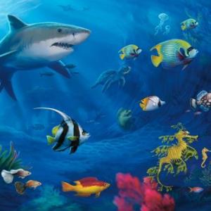 Trivia de animales acuáticos