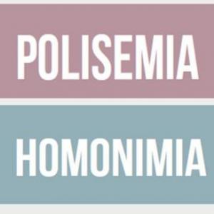Imagen de portada del videojuego educativo: Polisemia Y Homonimia, de la temática Lengua