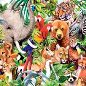 Animalia