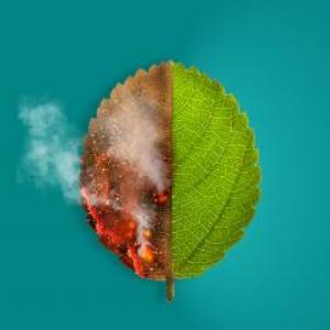 ¿Cuánto sabes sobre el cambio climático?