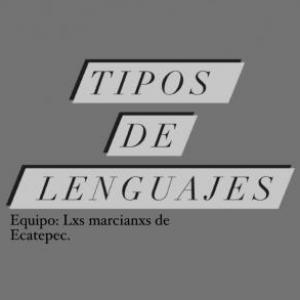Tipos de Lenguaje.