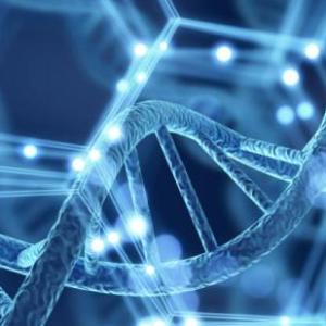 Genetica