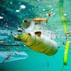 Tipos de contaminación del agua.