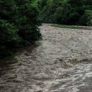 ¡The bogotá river!