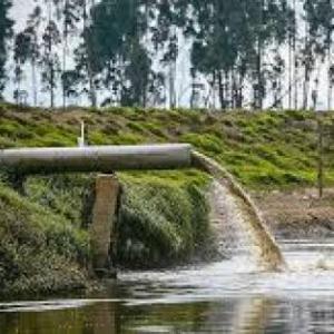 The Bogota's River 