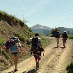 WHAT DO YOU NEED TO GO TO MONTAIN?