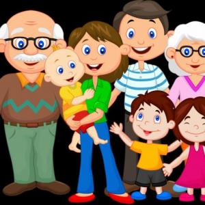 THE FAMILY 