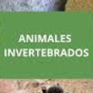 Animales invertebrados