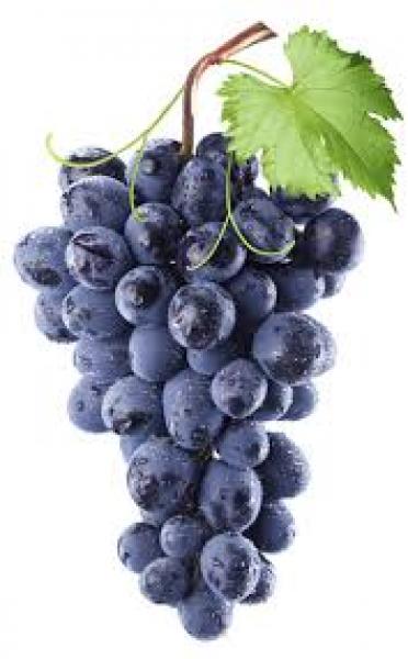 Frutas