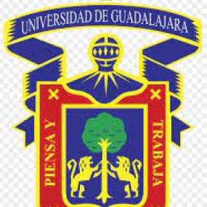 Desaparicion de jovenes