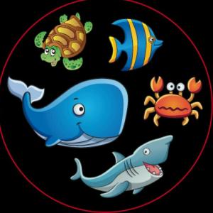Sea animals