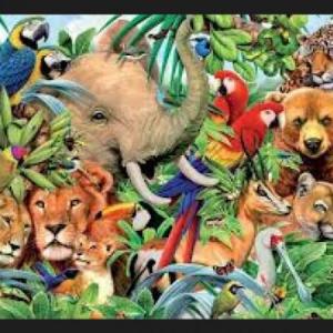 mundo animal