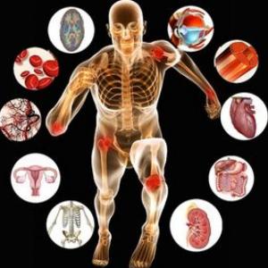 Ahorcado: Fisiología general de los tejidos excitables