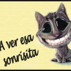¿Qué tanto sabes de TODO?