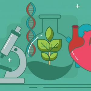 Preguntas sobre Biología ¿Sabrás todas?