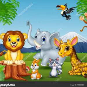 animals
