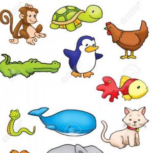 animals