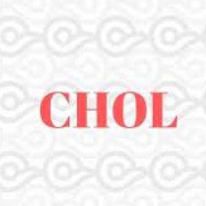 Duchazo de ch'ol