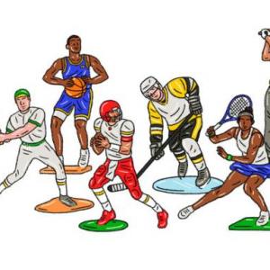 The sports