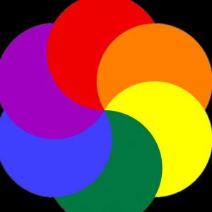 The colors