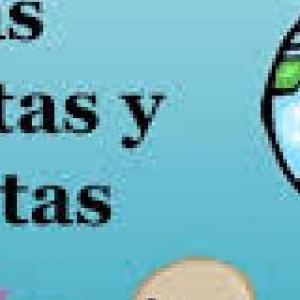 Células procariotas y eucariotas
