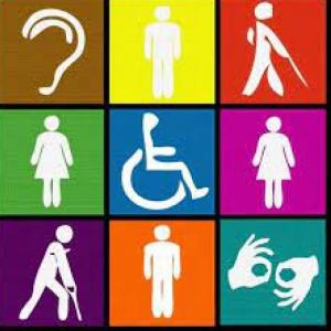 Juego Diversidad