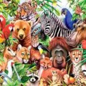 ANIMALES