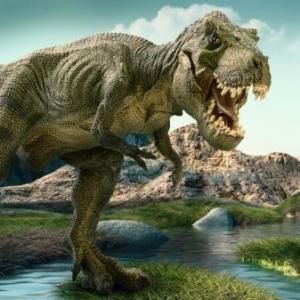 ¿QUÉ SABEMOS SOBRE LOS DINOSAURIOS?