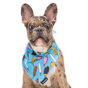 Mini Test — Pet Neckwear Design