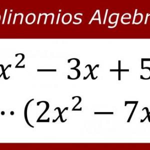 Polinomios