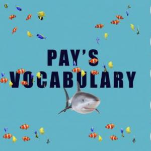 Pay's Vocabulary