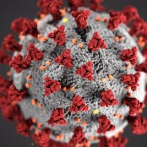 Coronavirus