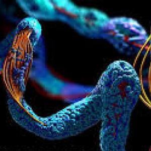 Imagen de portada del videojuego educativo: Biomoléculas I, de la temática Biología