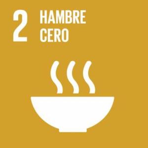 Portada del juego ODS 2 – Alimentación