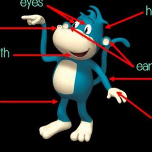 Body parts