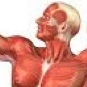 TRIVIA de Analisis y diseño de Puestos de trabajo