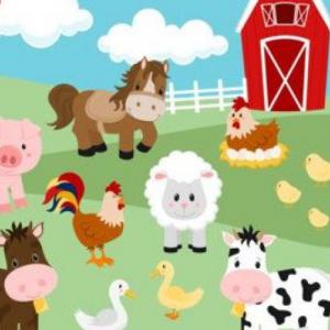 Animals