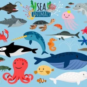 sea animals