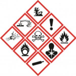 Encuentra los pictogramas