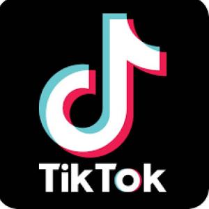 CUANTO SABES DE TUS TIKTOKERS FAVORITOS