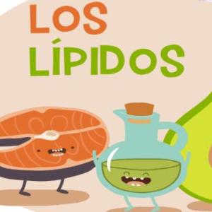 LIPIDOS -1