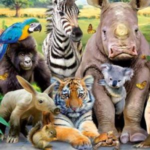 Animales