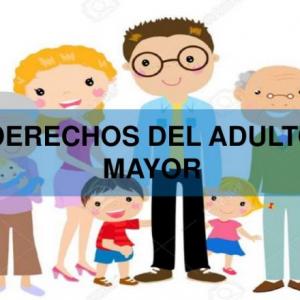 VERDADERO Y FALSO
