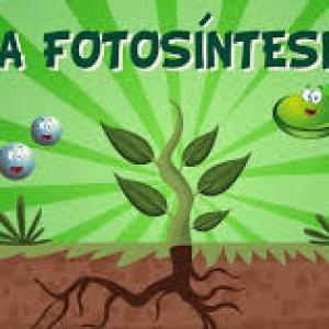 la fotosintesis
