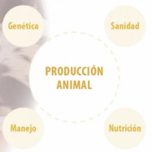 Imagen de portada del videojuego educativo: Pilares de la producción animal, de la temática Actualidad