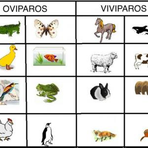 Ahorcado