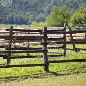 Animales de Corral