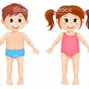 Partes del cuerpo