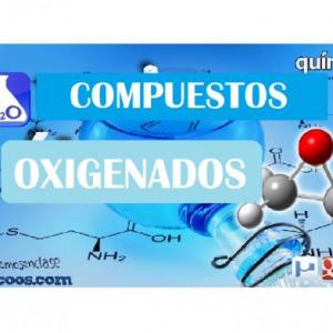 Ludimica